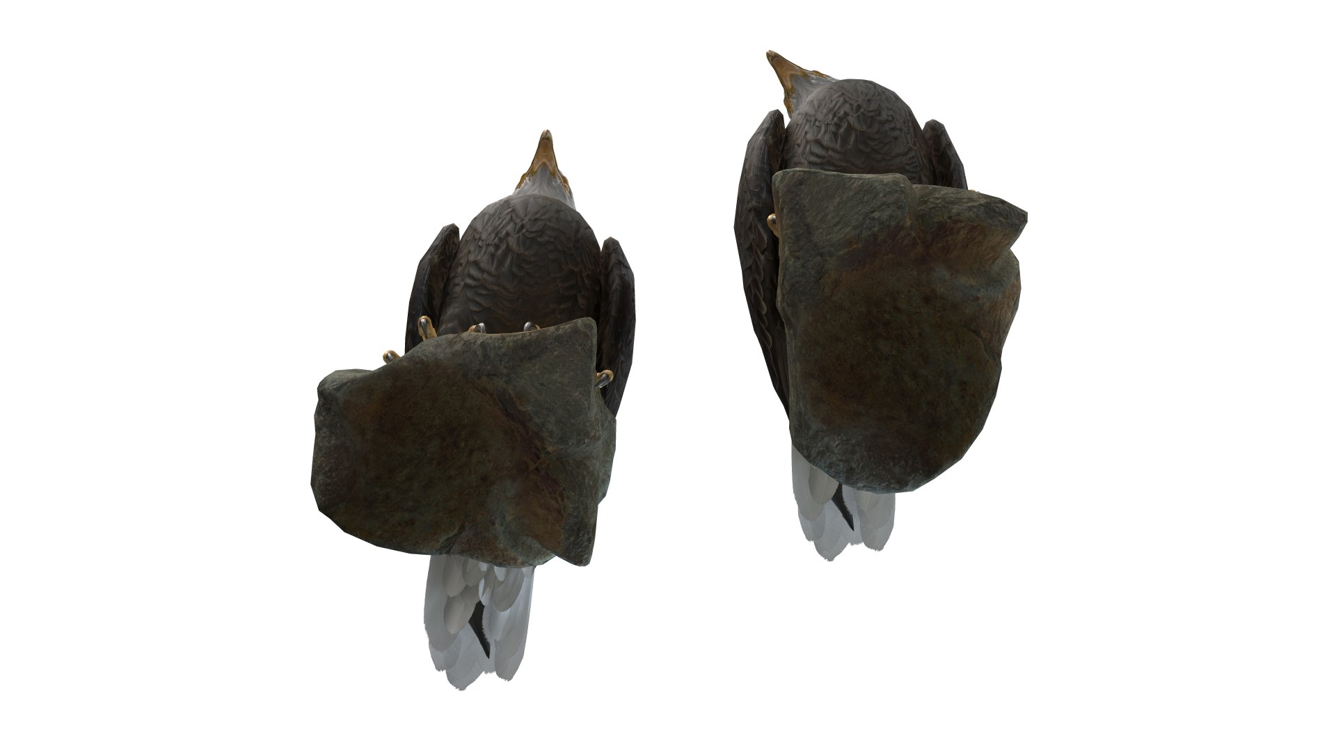 Predator Birds Collection 3D https://p.turbosquid.com/ts-thumb/kr/IE5pLa/R3/0051/jpg/1640967970/1920x1080/fit_q87/d18eb3cc4e77fce20a5f1559092119deba286a97/0051.jpg
