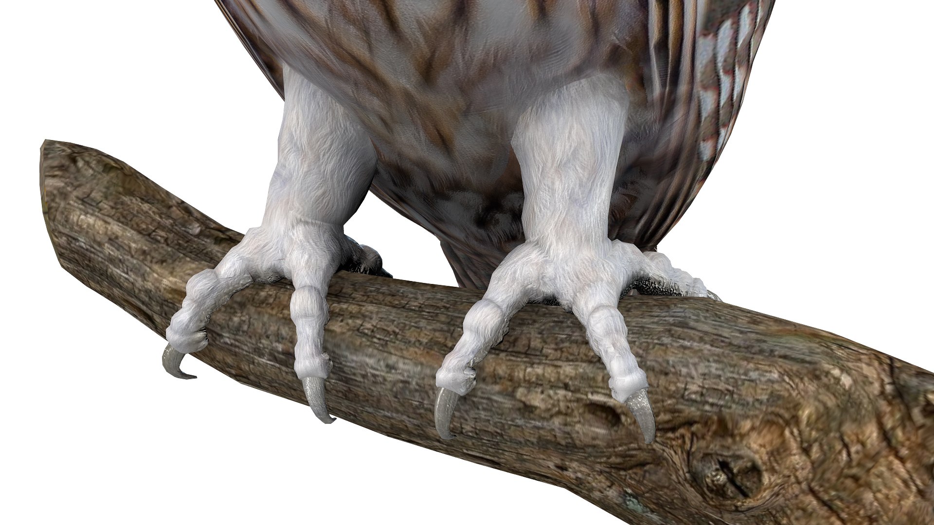 Predator Birds Collection 3D https://p.turbosquid.com/ts-thumb/kr/IE5pLa/Wg/052/jpg/1640968241/1920x1080/fit_q87/9dad30a6b665e4a7df2693e9f7cbaae9b81697cd/052.jpg