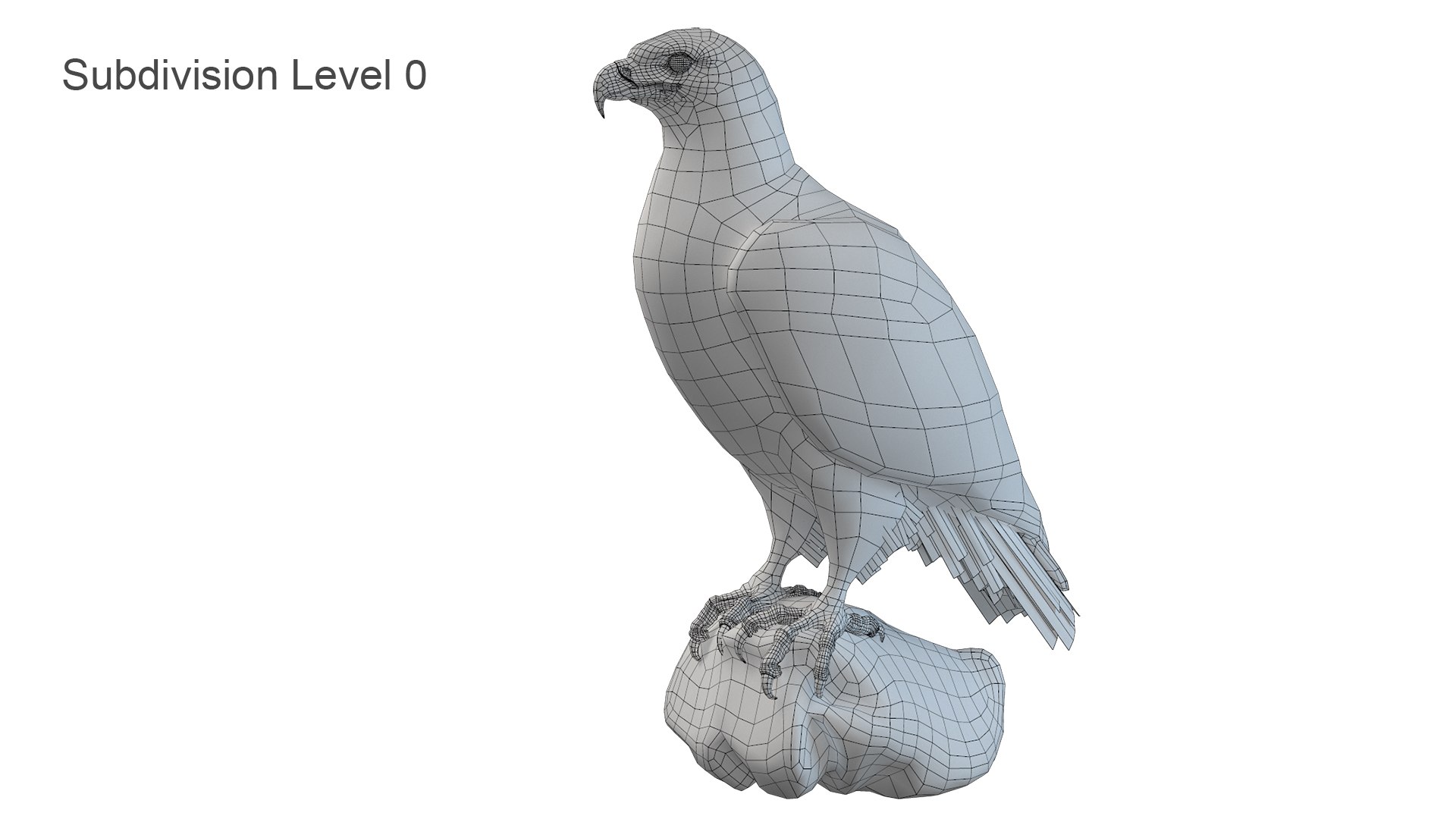 Predator Birds Collection 3D https://p.turbosquid.com/ts-thumb/kr/IE5pLa/jY/sub0/jpg/1640967500/1920x1080/fit_q87/34a4ba57e06f9d7d556b1f2d1c7d6101e058bb82/sub0.jpg