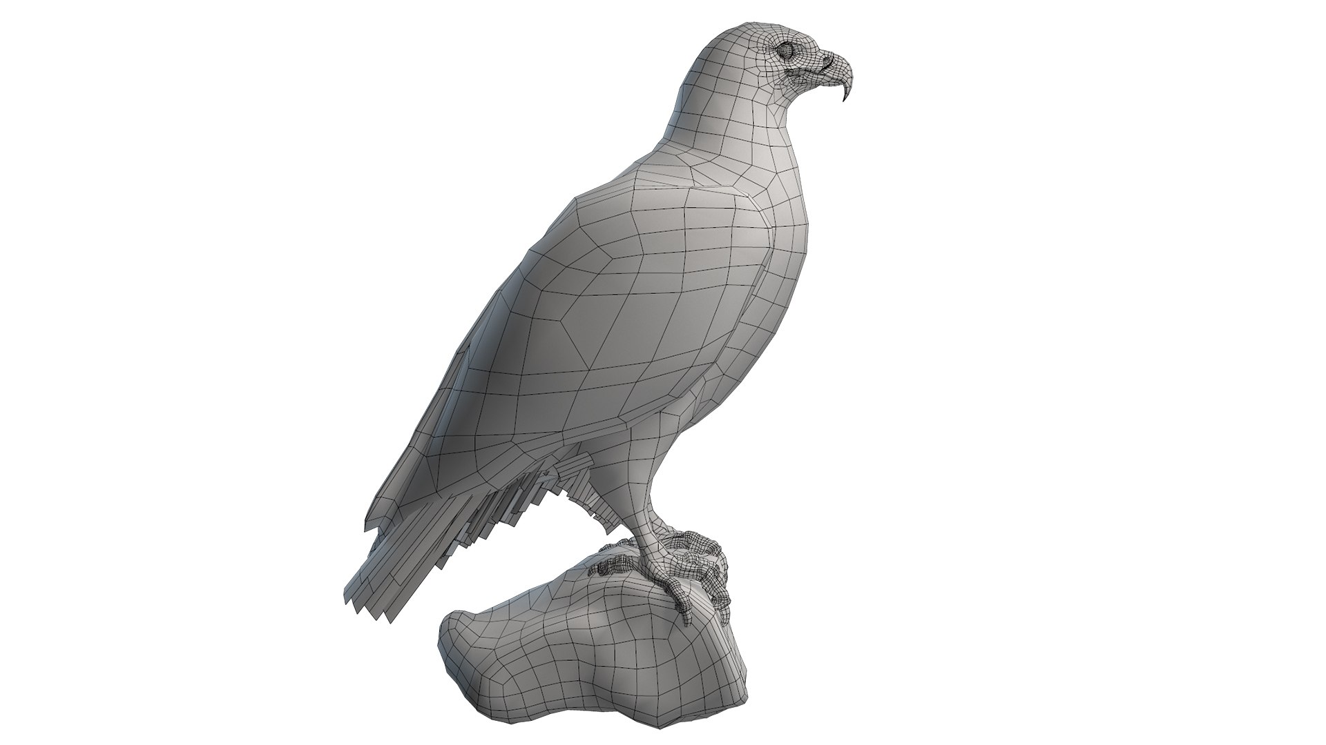 Predator Birds Collection 3D https://p.turbosquid.com/ts-thumb/kr/IE5pLa/mI/edge02/jpg/1640967500/1920x1080/fit_q87/6db1c9de88e18ab12422a384de98212df3135192/edge02.jpg