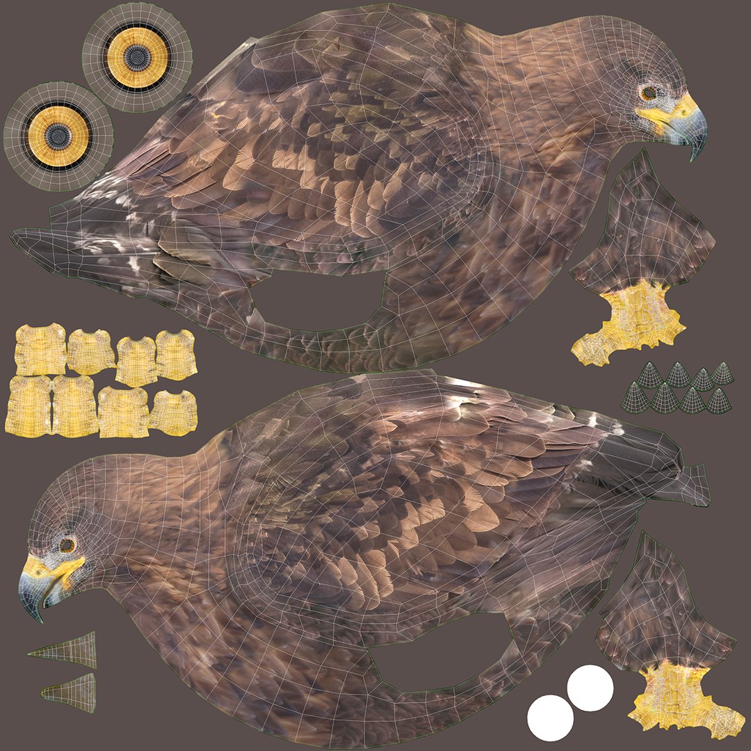 Predator Birds Collection 3D https://p.turbosquid.com/ts-thumb/kr/IE5pLa/oZ/uv/jpg/1640967504/1920x1080/fit_q87/0868ff94d1b156f1648d5783d595e6da56b238e7/uv.jpg