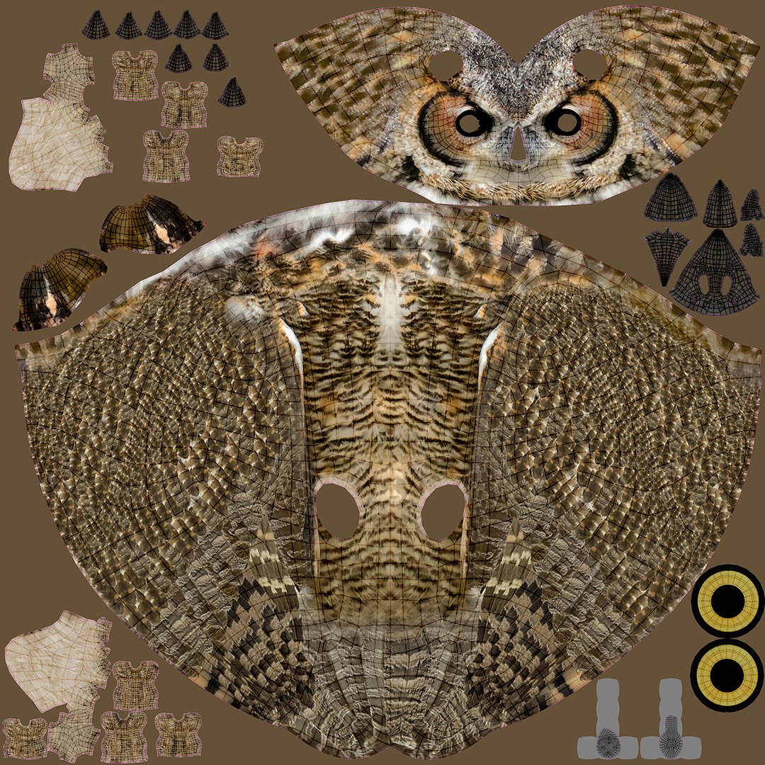 Predator Birds Collection 3D https://p.turbosquid.com/ts-thumb/kr/IE5pLa/pl/owl_uv/jpg/1640970923/1920x1080/fit_q87/68f91aac2ae3a953d4f61f02147066519bba1570/owl_uv.jpg