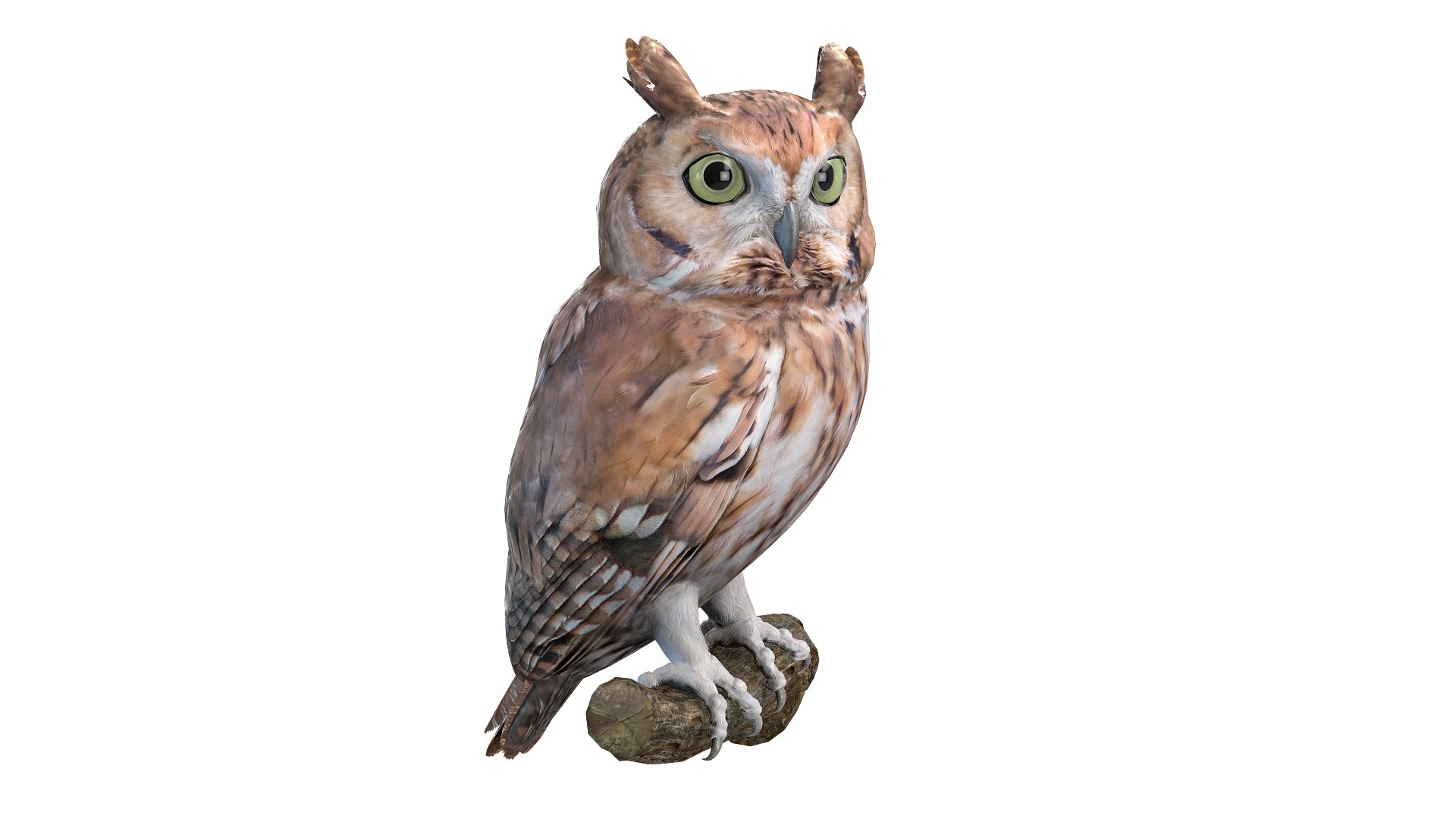 Predator Birds Collection 3D https://p.turbosquid.com/ts-thumb/kr/IE5pLa/u1/w2/jpg/1640968239/1920x1080/fit_q87/871c3be8bee6ca2ed586c16dbeb3cc61a240df51/w2.jpg