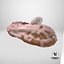 Eclair de fresa
