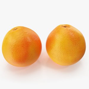 grapefruit 01-02 3D model