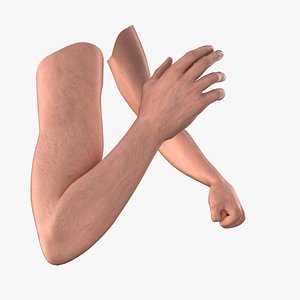 3d model of male arms