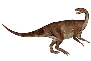 Plateosaurus Dinosaur Triassic Animal