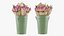 Flowers Bouquet Set 03