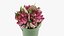 Flowers Bouquet Set 03
