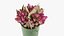 Flowers Bouquet Set 03