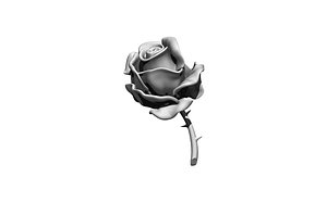 3D rose plant thorns model