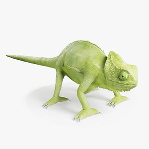 3D Chameleon model