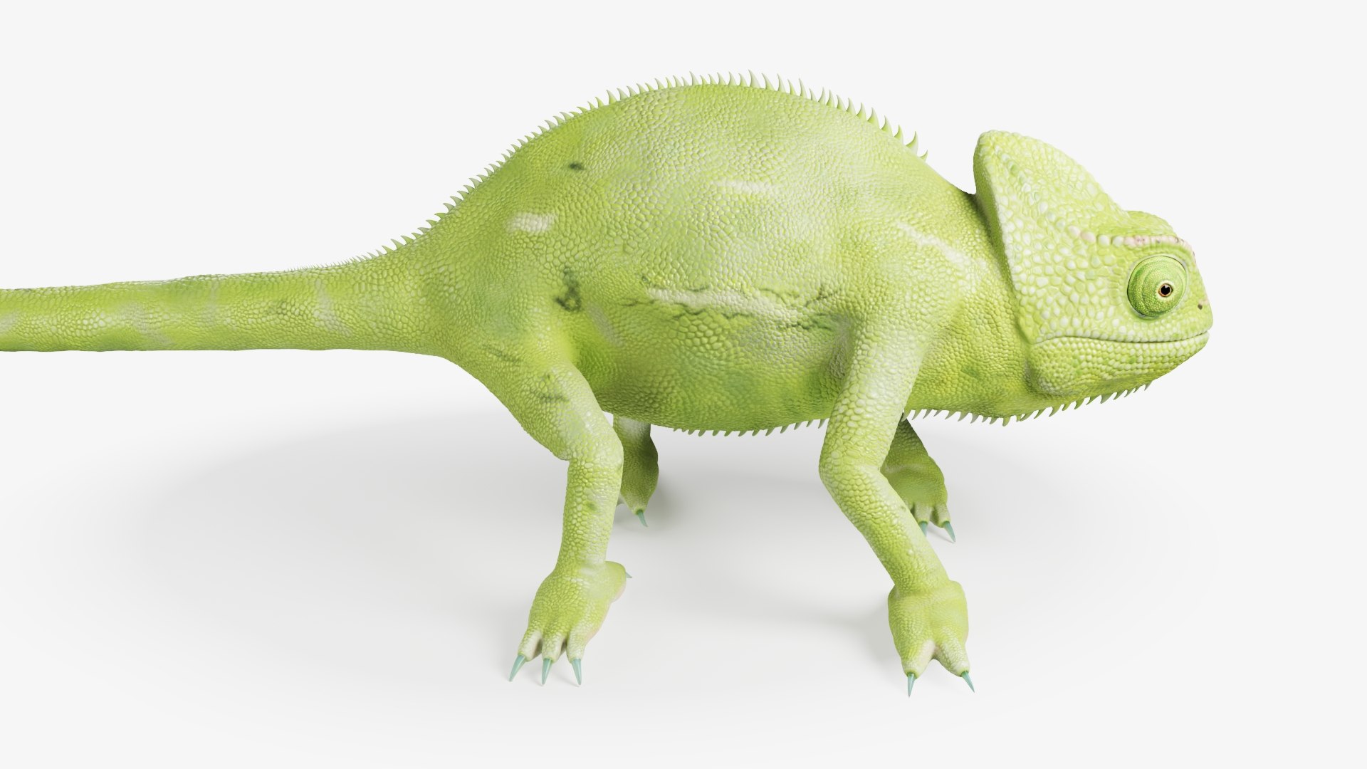 3D modelling is helping researchers understand how chameleons