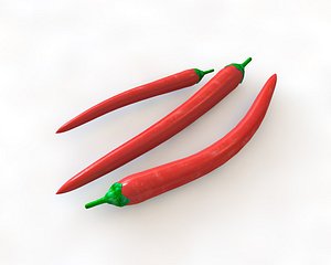 chili 3D model