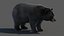 Black Bear Fur 3D