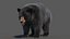 Black Bear Fur 3D