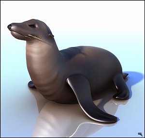 sea lion 3d model