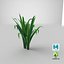 3D Cartoon Long Grass 08