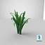 3D Cartoon Long Grass 08