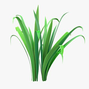 Cartoon Long Grass 08