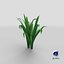 3D Cartoon Long Grass 08