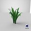 3D Cartoon Long Grass 08