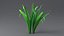 3D Cartoon Long Grass 08