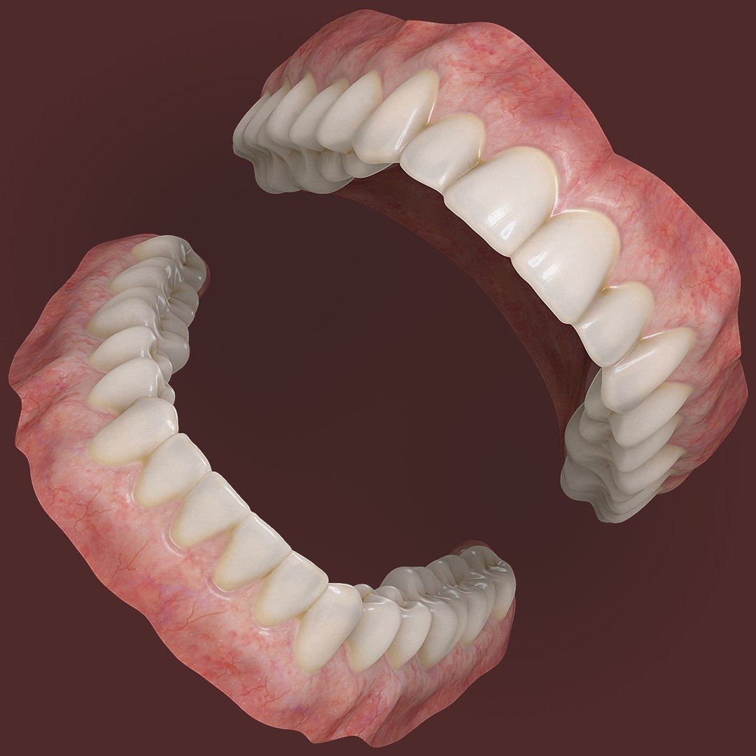 realistic orthodontics medicine 3d model https://p.turbosquid.com/ts-thumb/ks/yD3xwl/JSz9cUYT/open/jpg/1424726049/1920x1080/fit_q87/21bbfe1160b73c5ff06e36b70a791fc1b265c67e/open.jpg