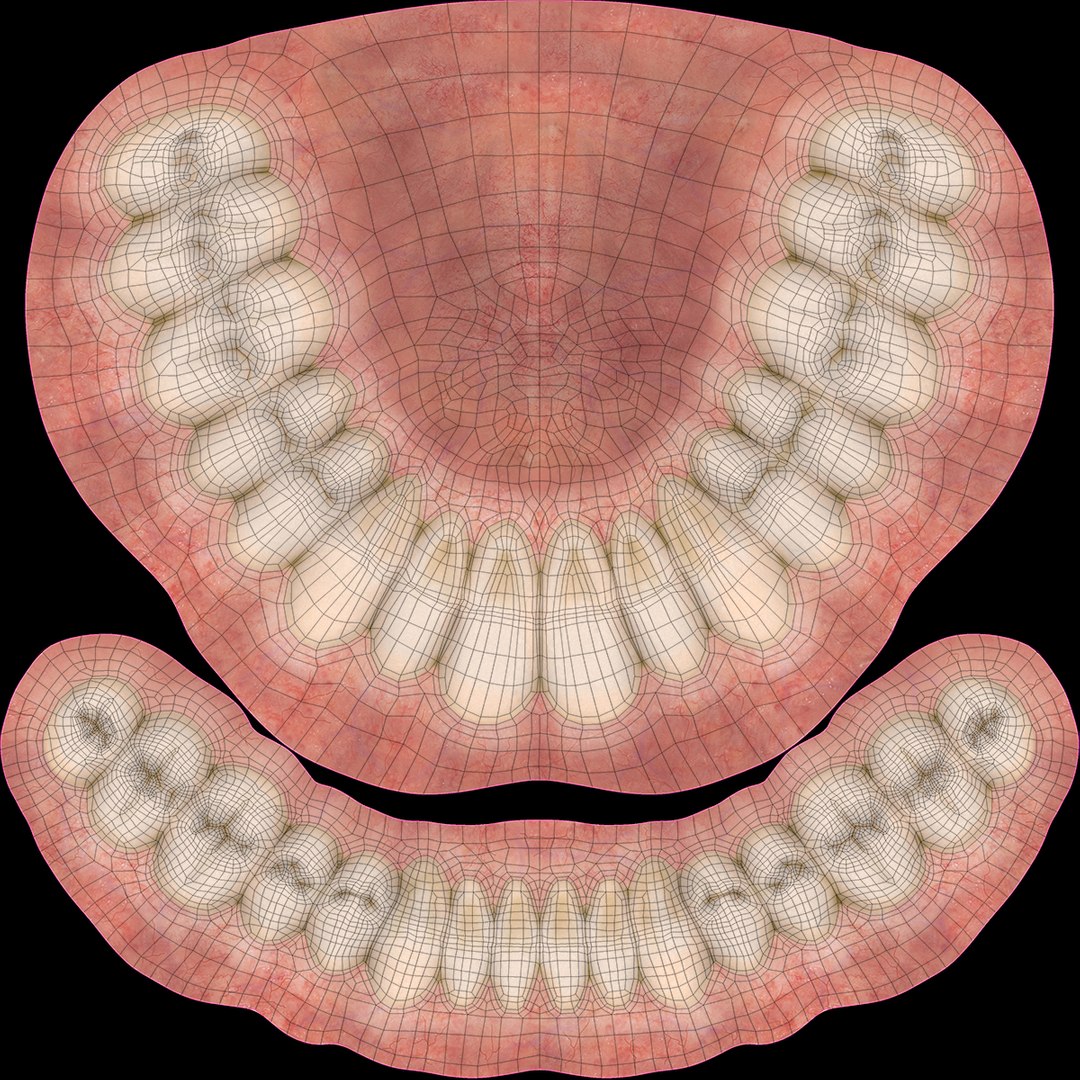 realistic orthodontics medicine 3d model https://p.turbosquid.com/ts-thumb/ks/yD3xwl/qGF7B4xV/dentures_uvw/jpg/1424726049/1920x1080/fit_q87/186c57582a48a7b170441b18defaf14c8c42a9cf/dentures_uvw.jpg