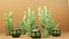 Spiky - Kolekcja kaktusów Low Poly gotowa do gry