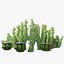 Spiky - Kolekcja kaktusów Low Poly gotowa do gry