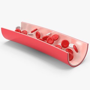 3D Blood Cells in Vein