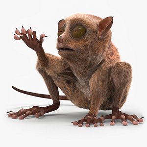 3D Tarsier Fur for Cinema 4D Rigged model