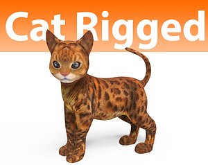 cat rigged(1)