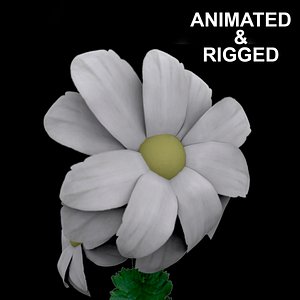 flowers open animation 3D model
