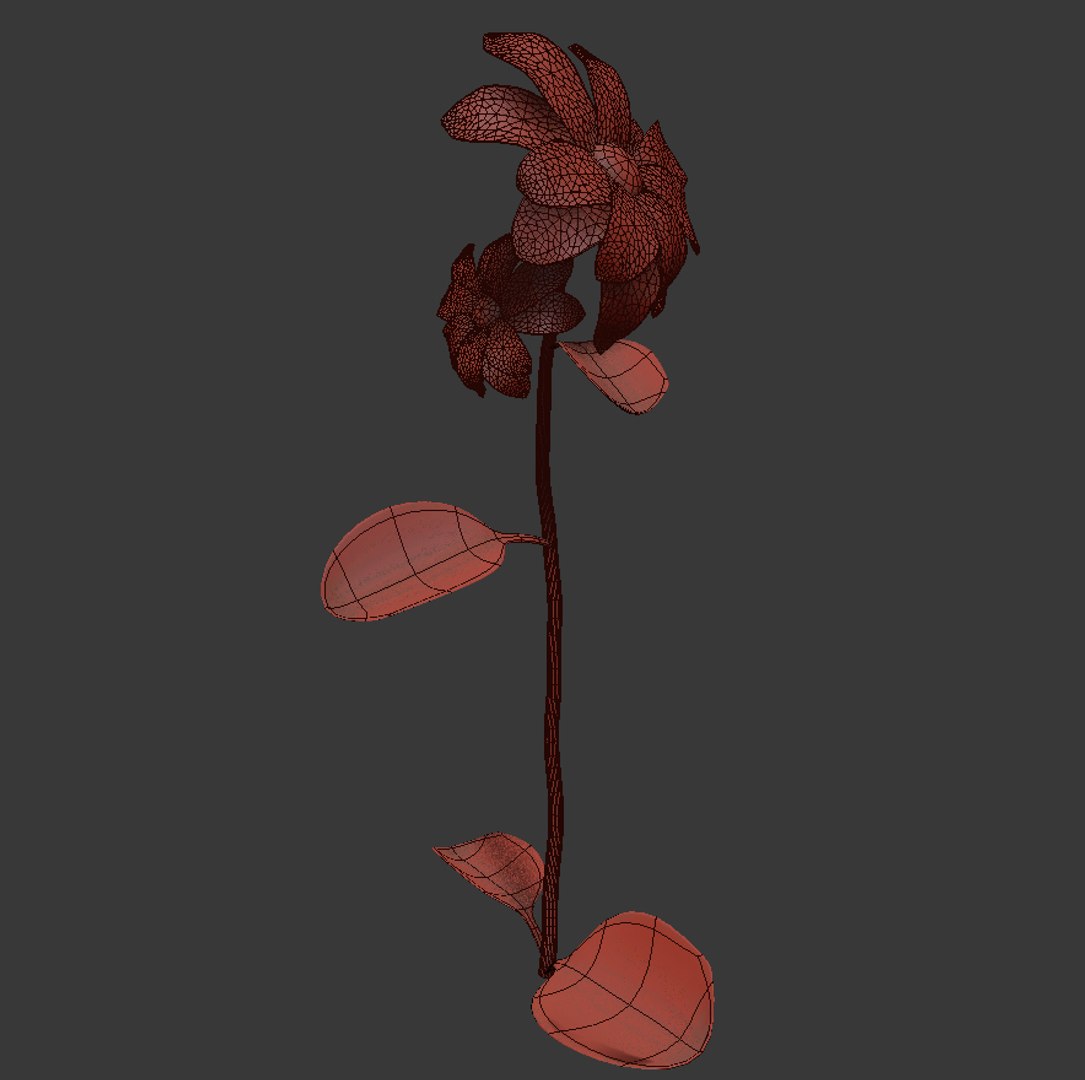 flowers open animation 3D model https://p.turbosquid.com/ts-thumb/kt/SH1AVj/miNoB1SX/wire/jpg/1594470654/1920x1080/fit_q87/23dbf7d31cebfb213a4fee2f57a1641fc73ff28e/wire.jpg