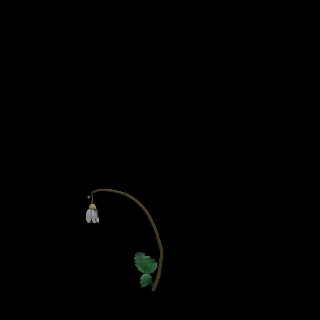 flowers open animation 3D model https://p.turbosquid.com/ts-thumb/kt/SH1AVj/ngAzViZy/02/jpg/1588590201/1920x1080/fit_q87/b14d140147748198c2bf323a3bccf5f2e9bdb634/02.jpg