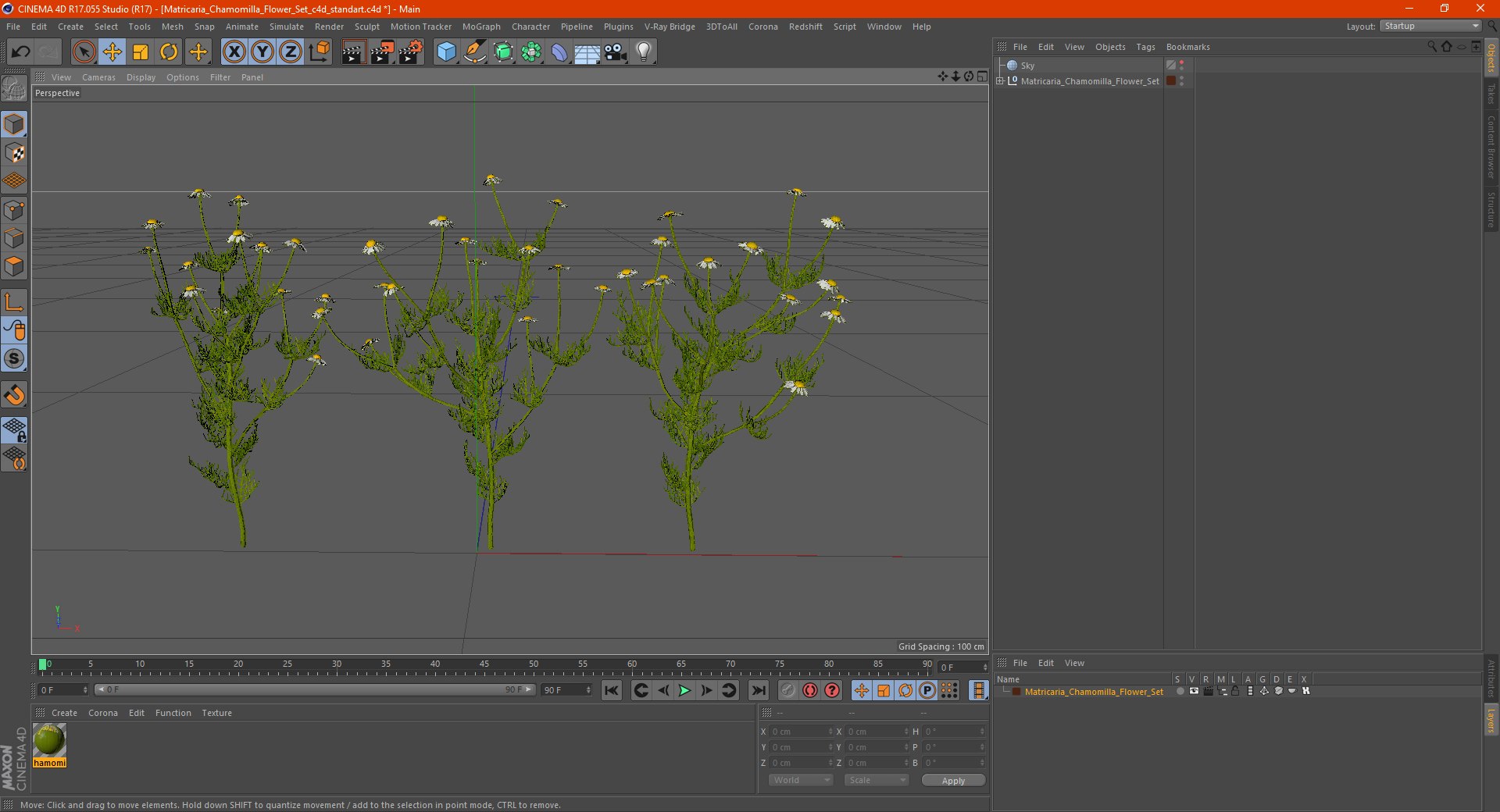 Matricaria Chamomilla Flower Set 3D model preview