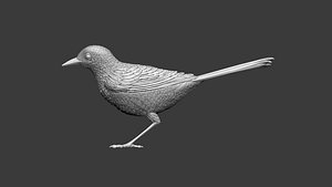 wagtail 3D model