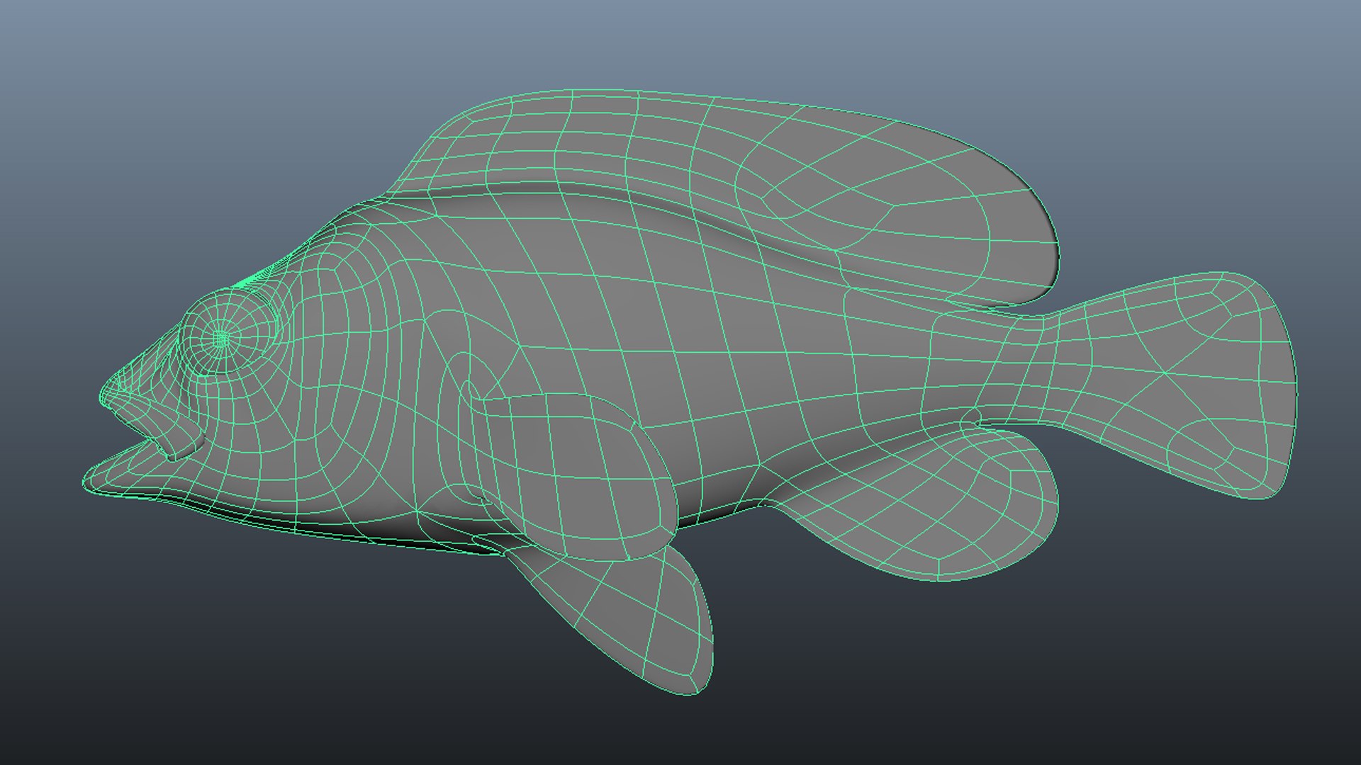 Kelp Rockfish 3D model https://p.turbosquid.com/ts-thumb/kt/ZcLDPS/Eg/wire/jpg/1622196625/1920x1080/fit_q87/0cacbb83cf20216572b1c0339e7de2f236d880bb/wire.jpg