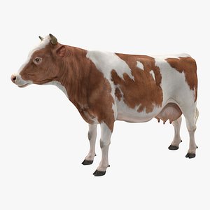 3D model cow realistic