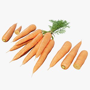 3D Carrot