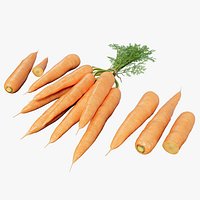 Carrot