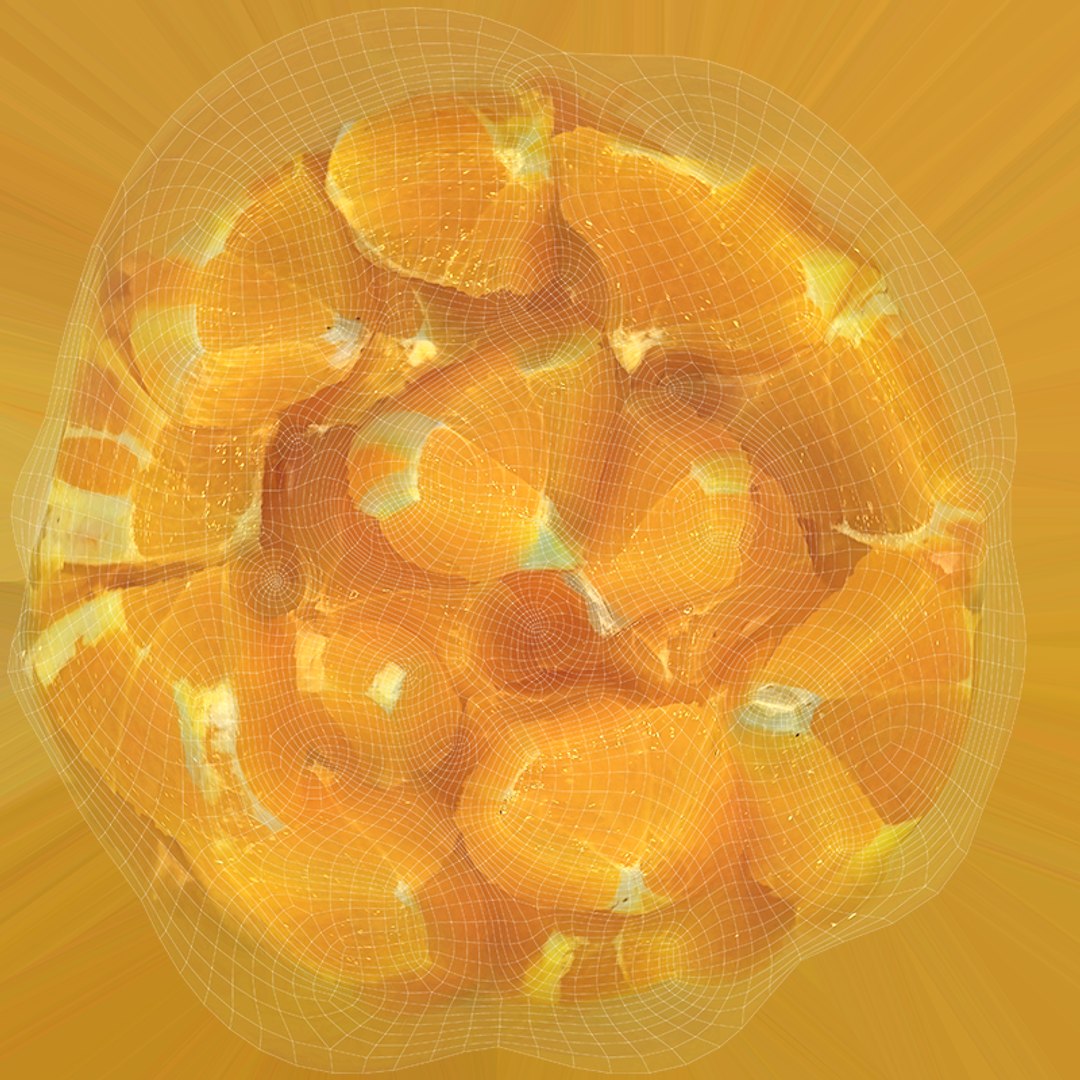 Orange Segments 3D model https://p.turbosquid.com/ts-thumb/kt/gnm8Sz/fm/model_0012/png/1762168061/1920x1080/fit_q87/71b5c17b156b528e39a8c3aecc91c33b7a808e4b/model_0012.jpg