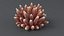 3D Acropora Coral S 05