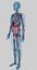 cuerpo humano