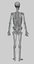 cuerpo humano