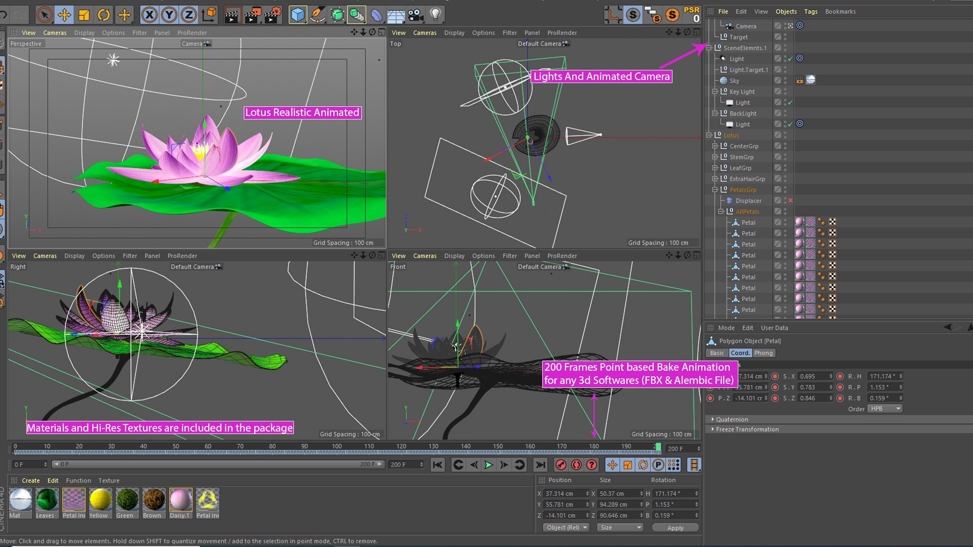 3D blooming lily animation model https://p.turbosquid.com/ts-thumb/ku/OSBYlA/N5/lotus_08/jpg/1614268180/1920x1080/fit_q87/2fc8f1a4c8b5f969c7904b8cac3fcbab8276fca9/lotus_08.jpg