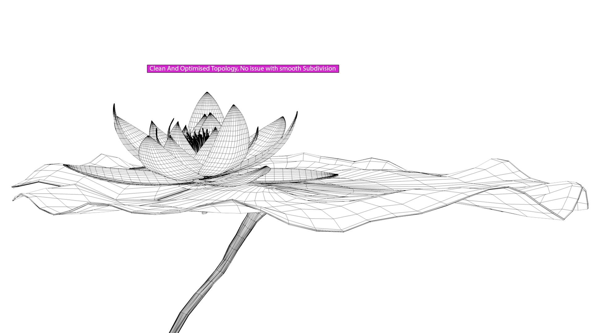 3D blooming lily animation model https://p.turbosquid.com/ts-thumb/ku/OSBYlA/ak/wireframe/jpg/1614268175/1920x1080/fit_q87/10ffff8dcea701059eecd9635e8a980c8533cb4d/wireframe.jpg