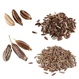 3D Cumin and Caray set model